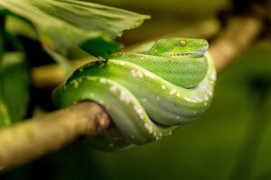 古米の臭いを解消する効果的な対策は？