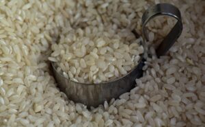 白米と玄米、どっちが長持ちするのか徹底比較しますか？