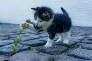 備蓄米の匂いを取る方法は？