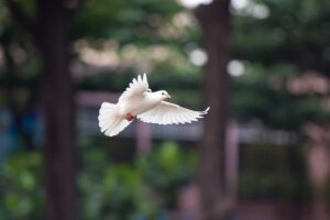 備蓄米の匂いを消す方法は何ですか？