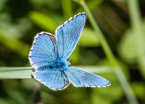 備蓄米の通販でできる虫対策の方法は？