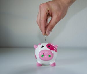 備蓄米の通販でふるさと納税の送料はどうなるの？