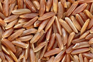 備蓄米の食べ比べ、口コミや評判は本当に参考になる？
